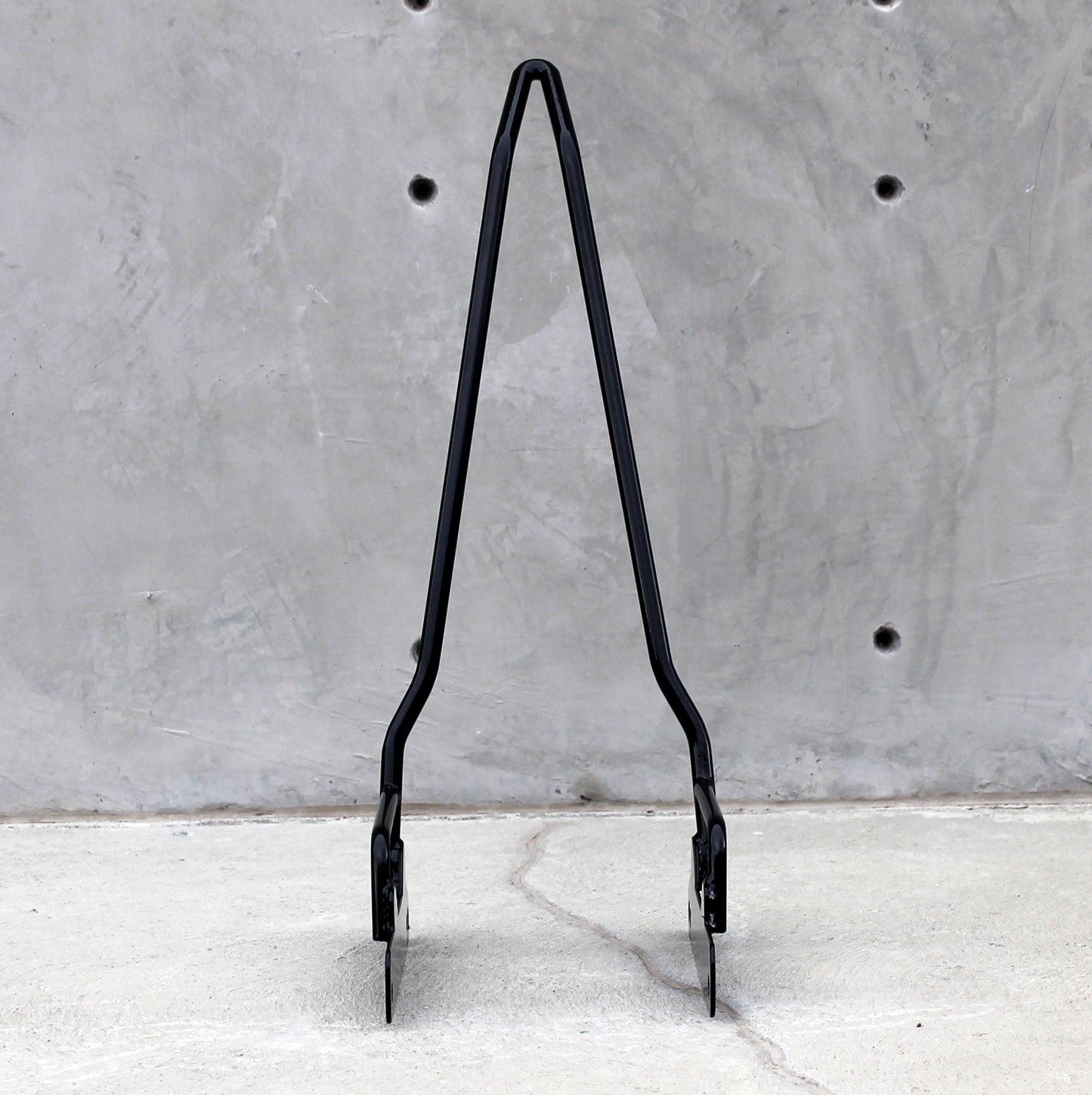 Edward Richie Dyna Pointed Sissy Bar Front View