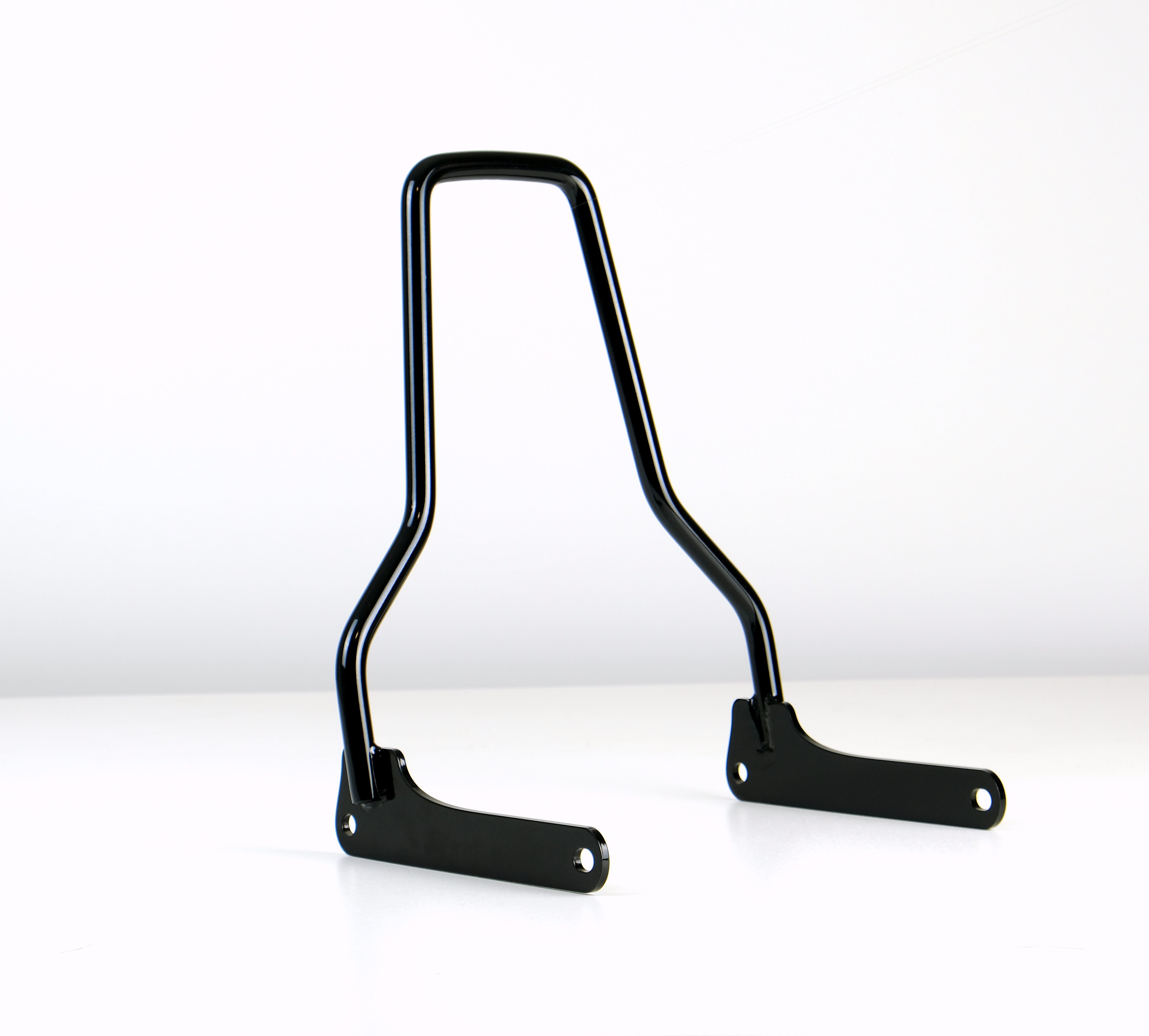 Low rider s 2024 sissy bar