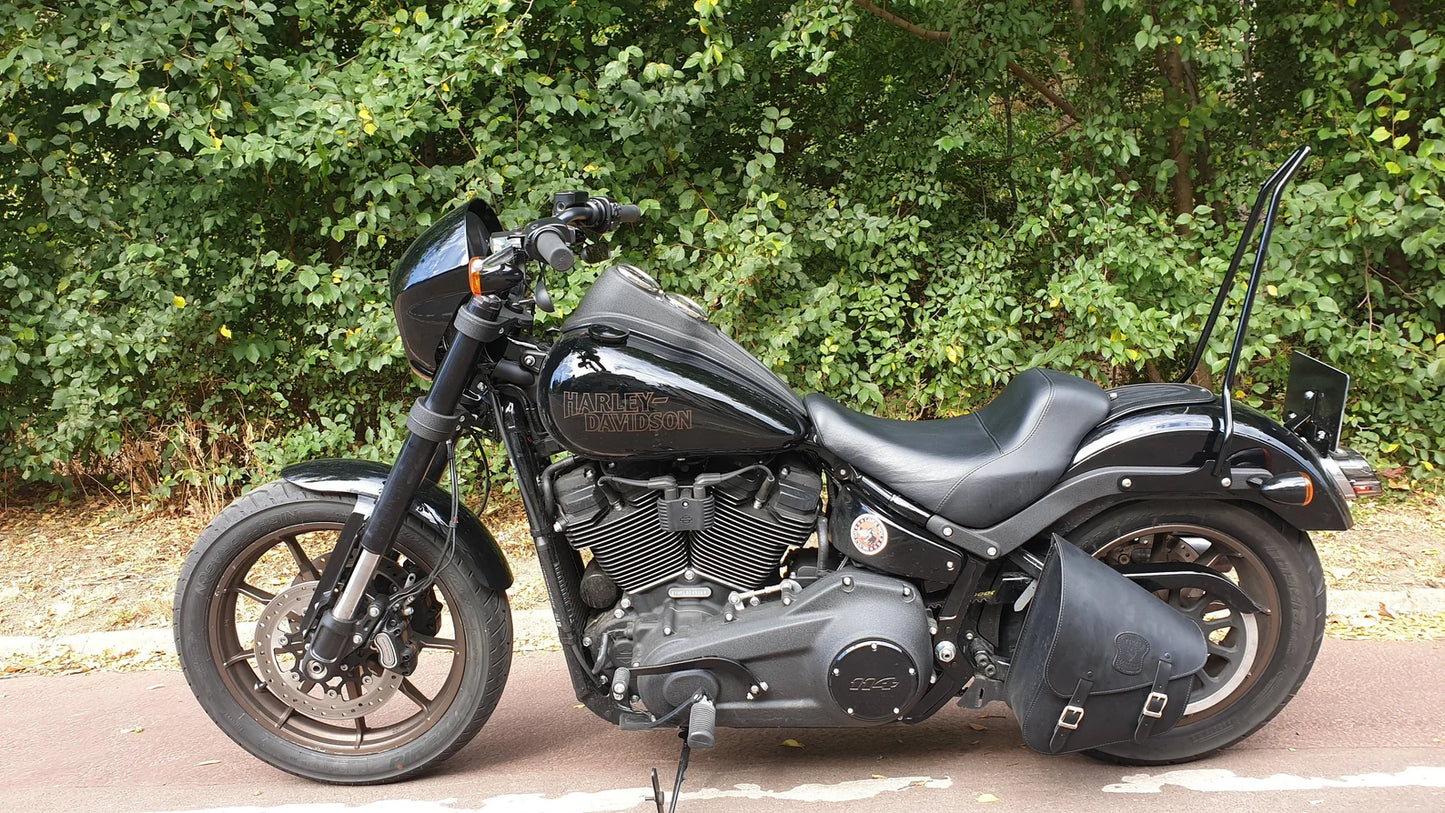 Edward Richie Softail Pointed Simple Sissy Bar  mounted on a Harley low rider 